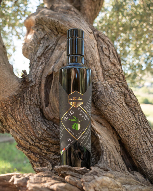 Prodotti tipici del Cilento